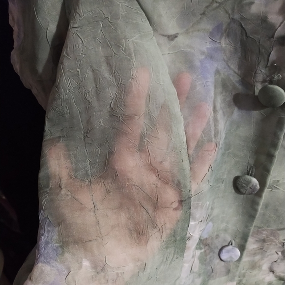 EUC Sheer shirt - Picture 3 of 4